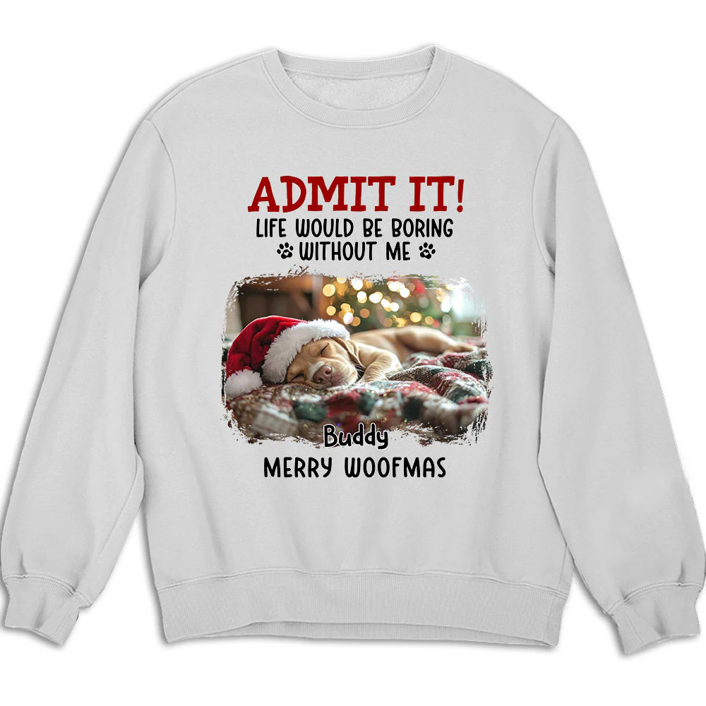 Admit It Dog Cartoon Christmas Photo - Personalized Custom Sweatshirt
