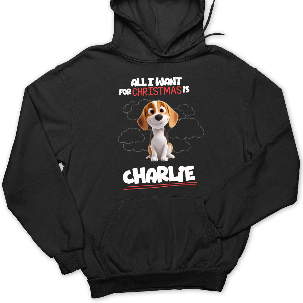 All I Want Is - Personalized Custom Hoodie