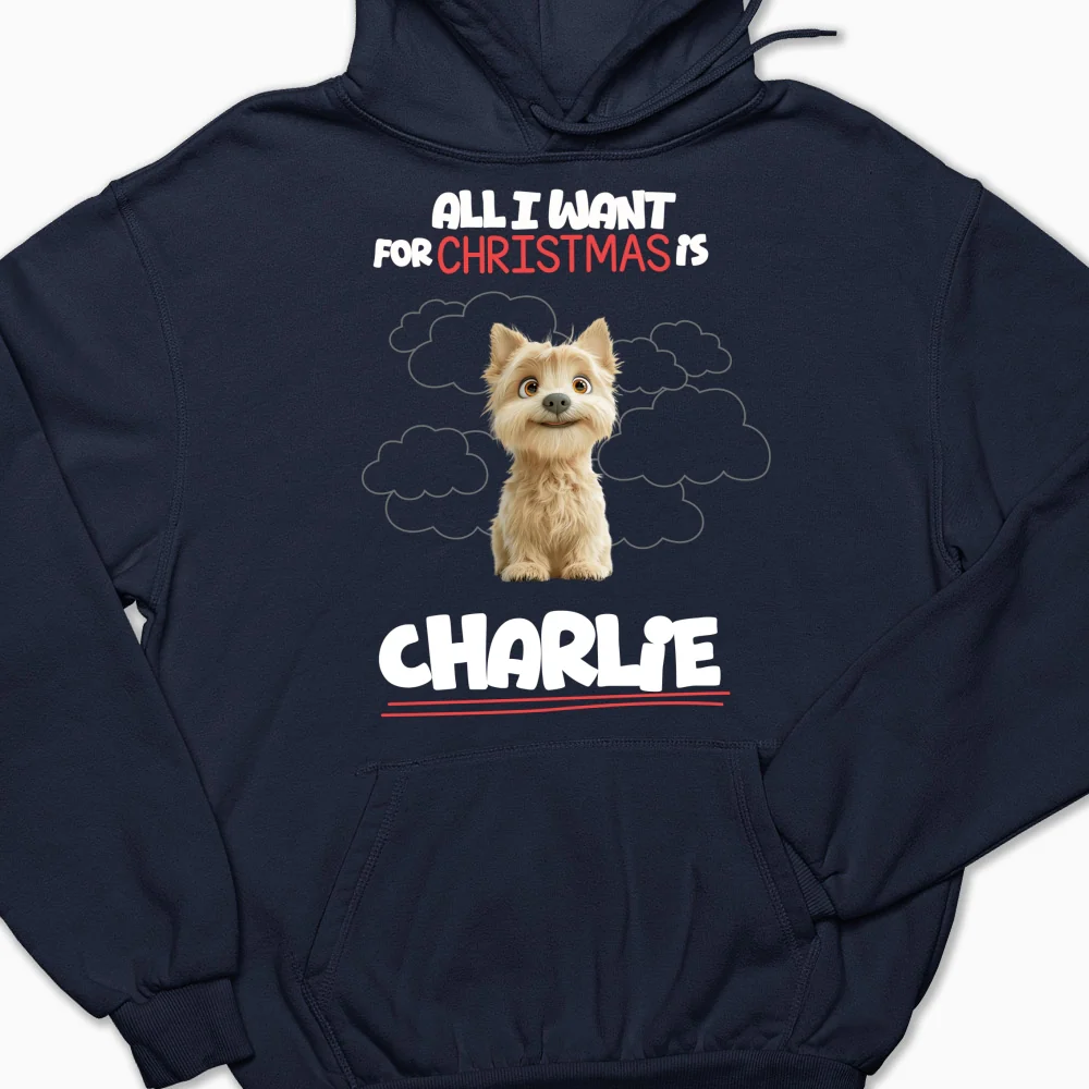 All I Want Is - Personalized Custom Hoodie - Image 6