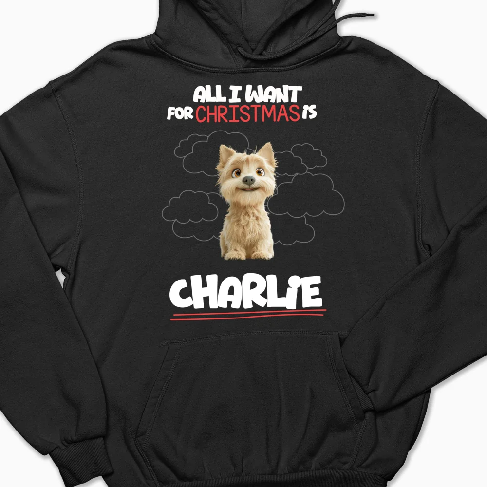 All I Want Is - Personalized Custom Hoodie - Image 7