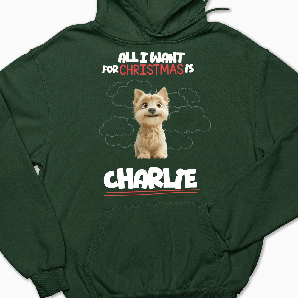 All I Want Is - Personalized Custom Hoodie - Image 8
