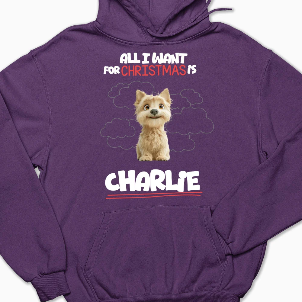 All I Want Is - Personalized Custom Hoodie - Image 9