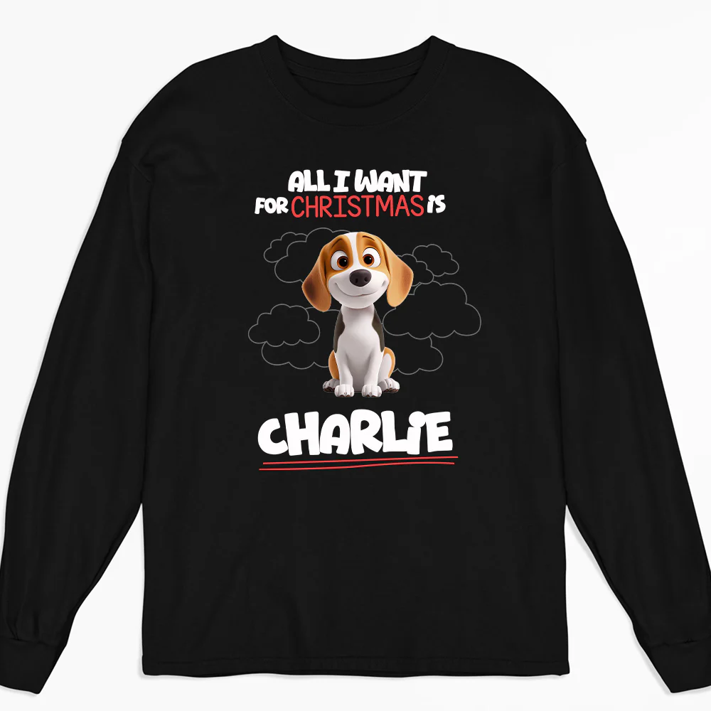 All I Want Is - Personalized Custom Long Sleeve T-Shirt