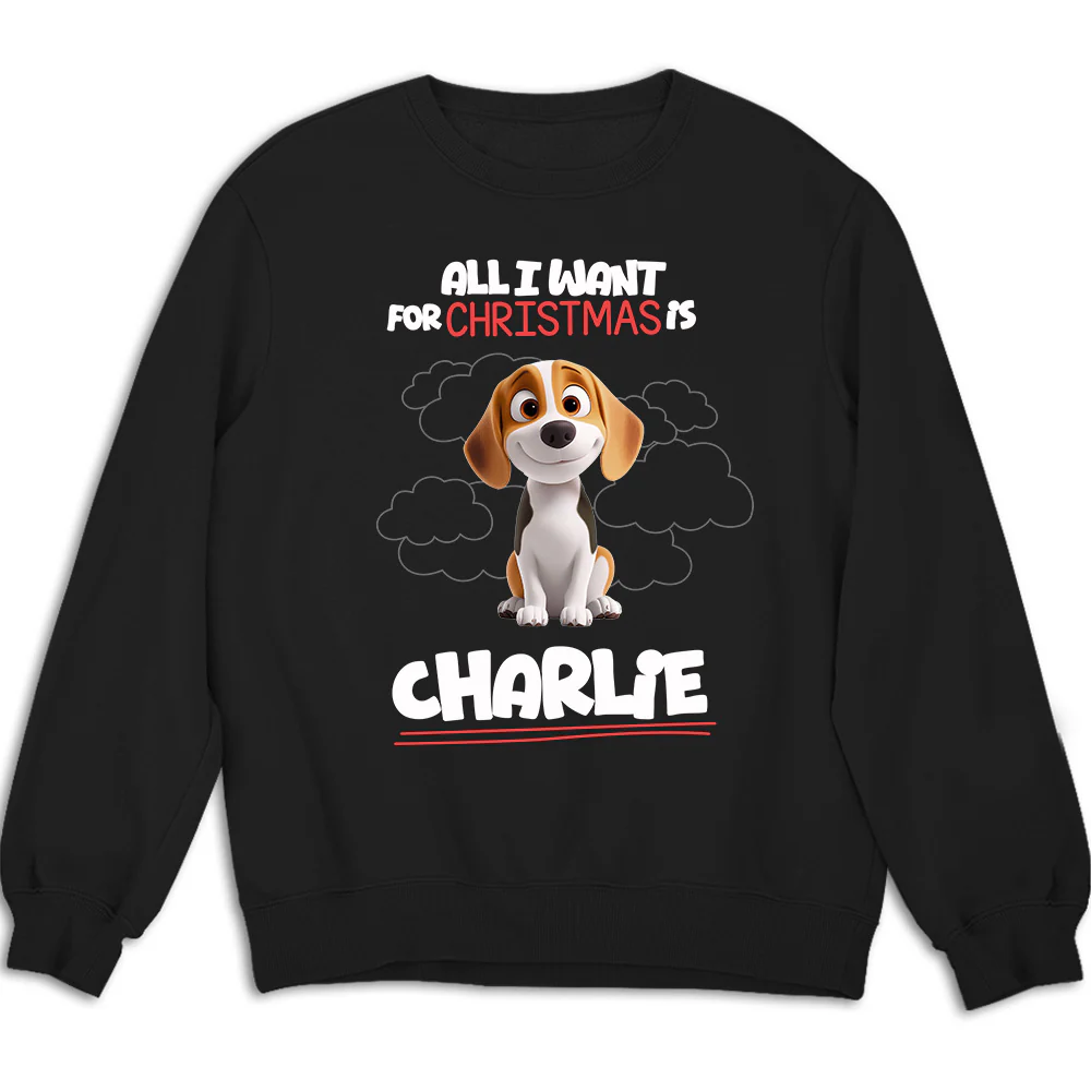 All I Want Is - Personalized Custom Sweatshirt