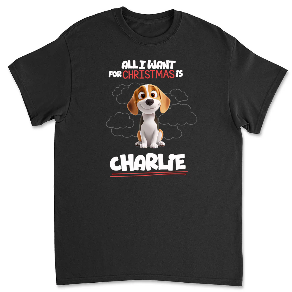 All I Want Is - Personalized Custom Unisex T-Shirt