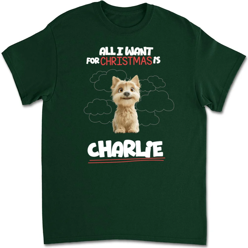 All I Want Is - Personalized Custom Unisex T-Shirt - Image 8