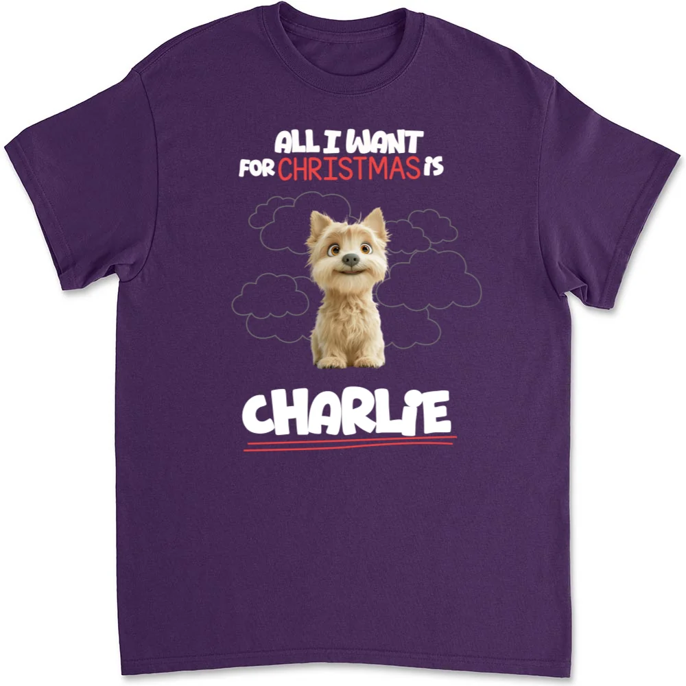 All I Want Is - Personalized Custom Unisex T-Shirt - Image 9