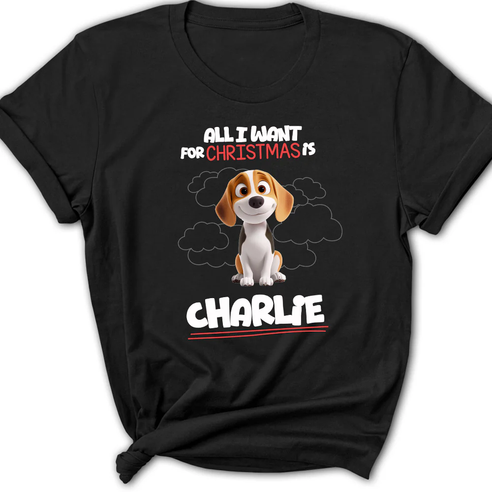 All I Want Is - Personalized Custom Women's T-Shirt