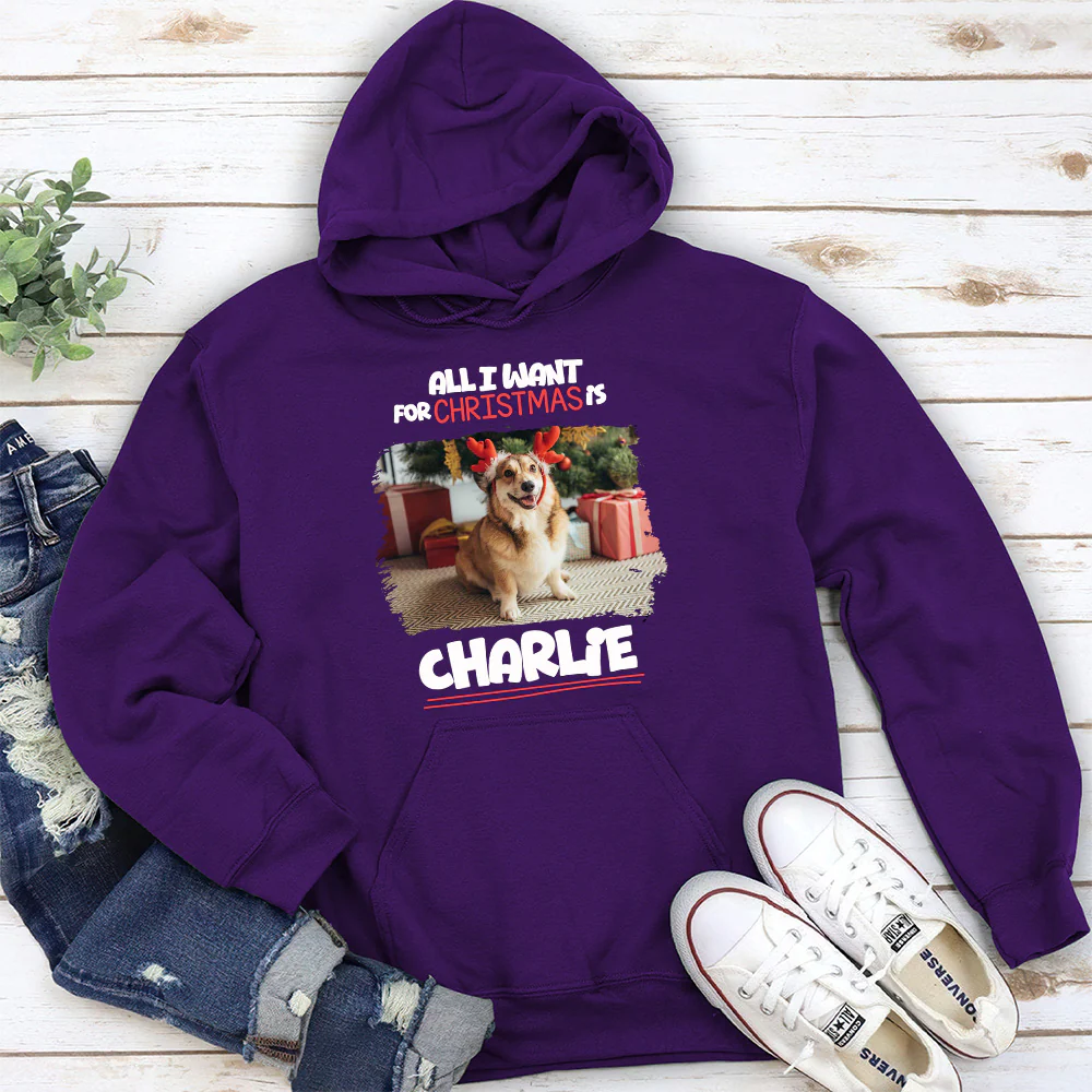 All I Want Is Photo - Personalized Custom Hoodie - Image 2