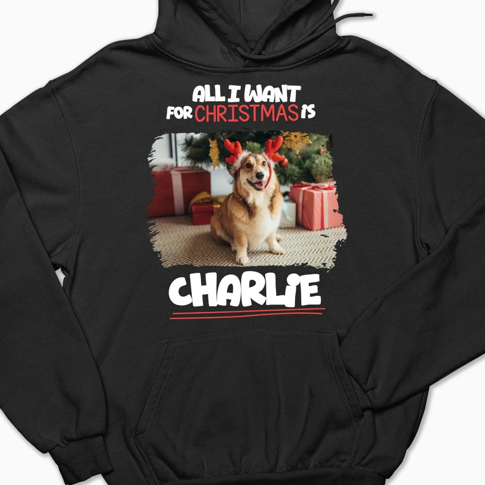 All I Want Is Photo - Personalized Custom Hoodie - Image 7