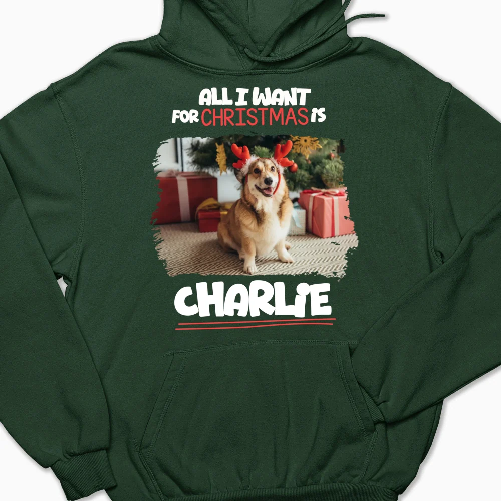 All I Want Is Photo - Personalized Custom Hoodie - Image 8