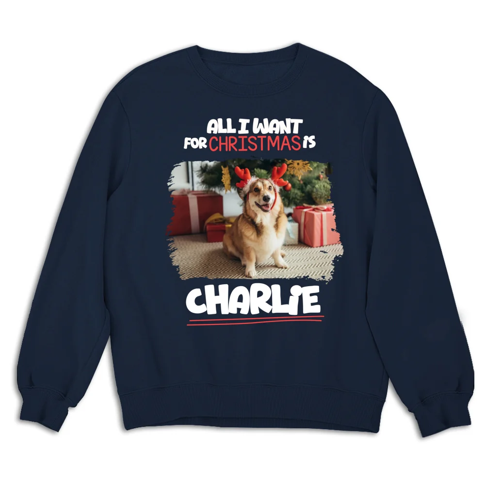 All I Want Is Photo - Personalized Custom Sweatshirt - Image 6