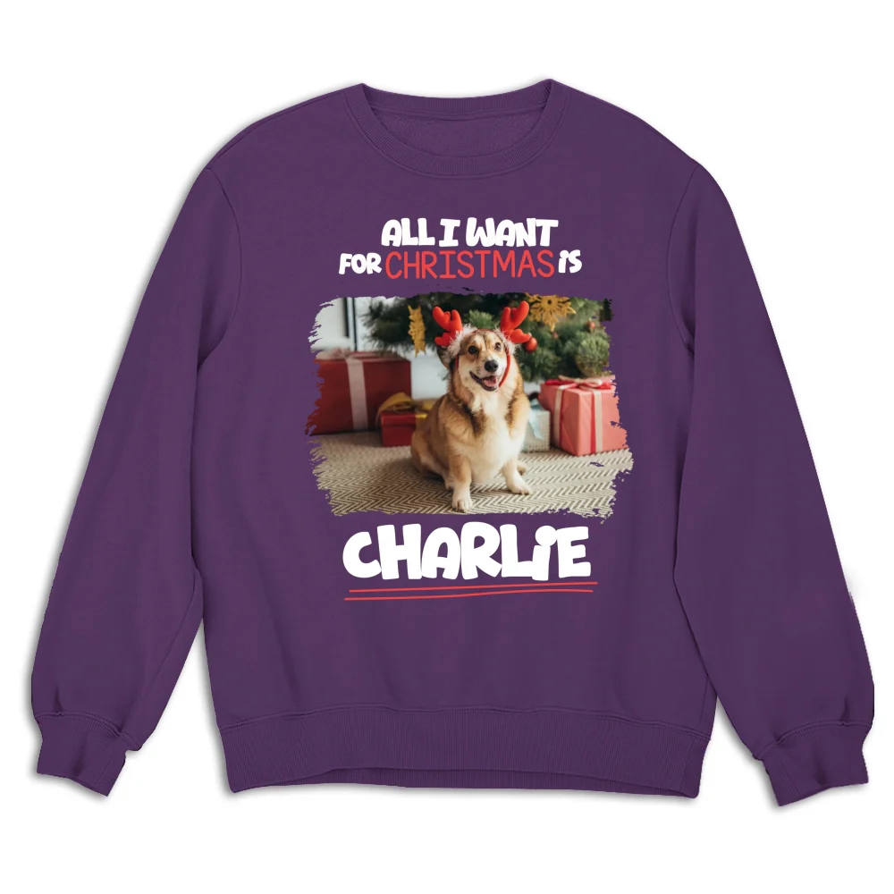 All I Want Is Photo - Personalized Custom Sweatshirt - Image 7