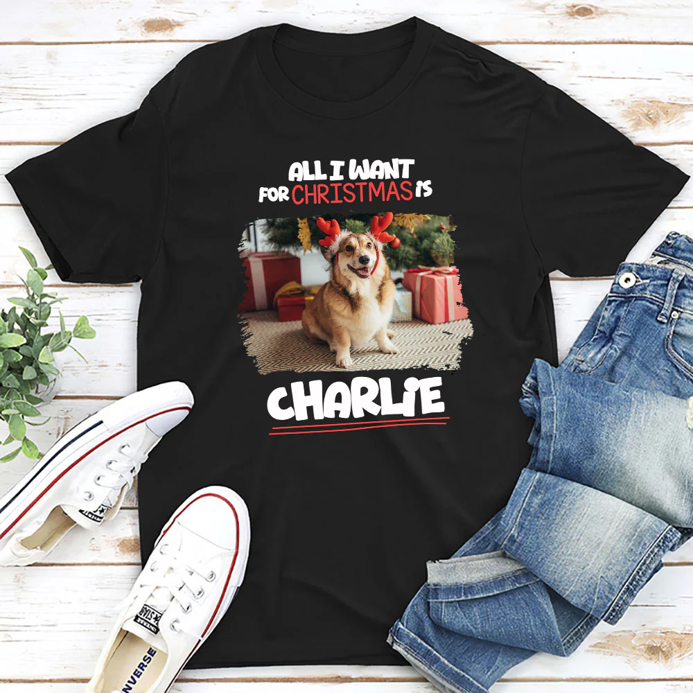 All I Want Is Photo - Personalized Custom Unisex T-Shirt