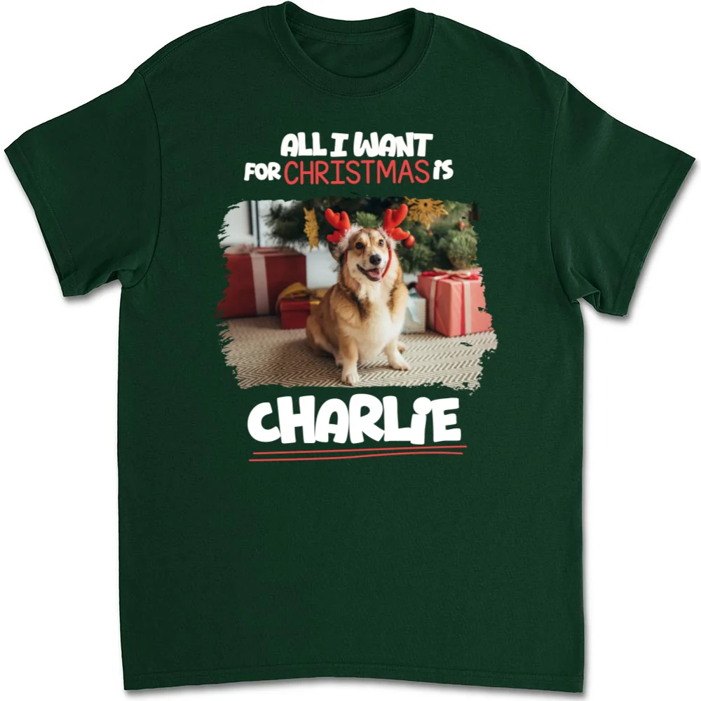 All I Want Is Photo - Personalized Custom Unisex T-Shirt - Image 6