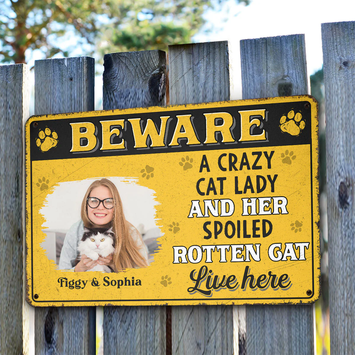 Beware Cat Lady Photo - Personalized Custom Metal Sign