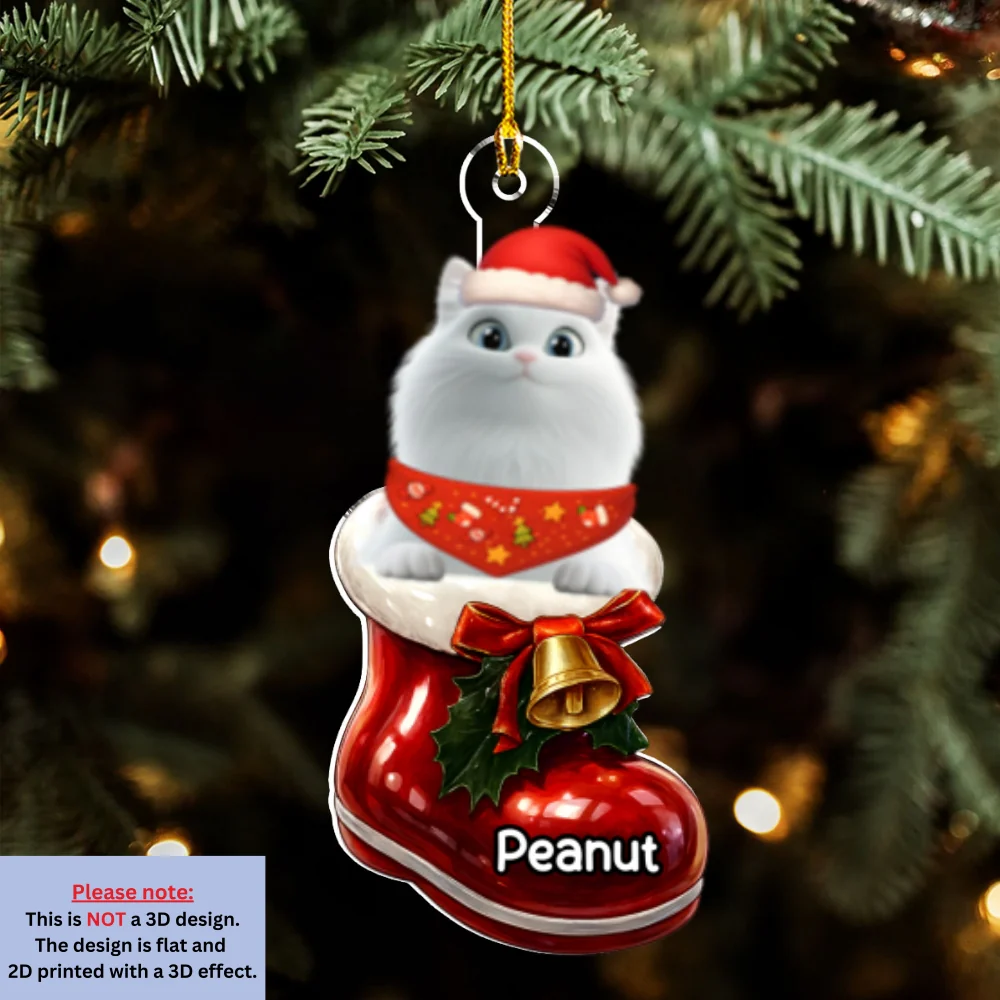 Cat Here In Your Shoes - Personalized Custom 3D Effect Acrylic Ornament - Image 6