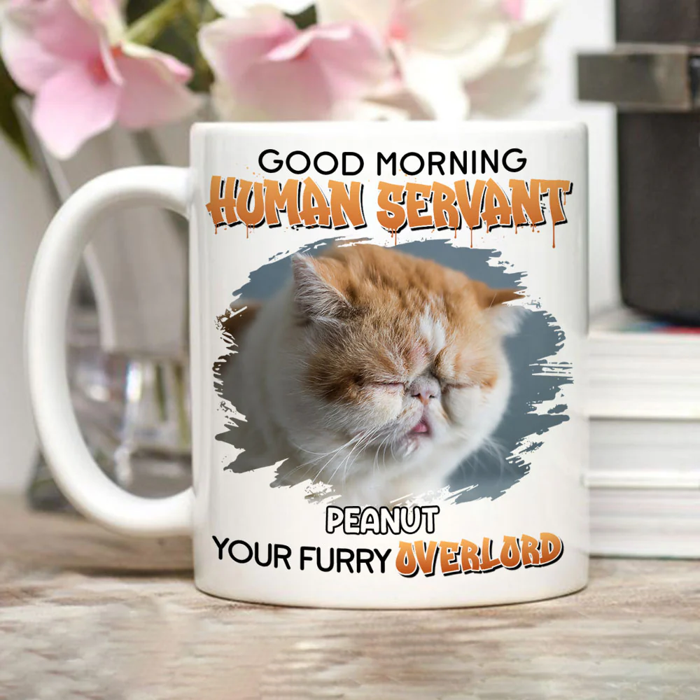 Cat Mom Mode Photo - Personalized Custom Coffee Mug