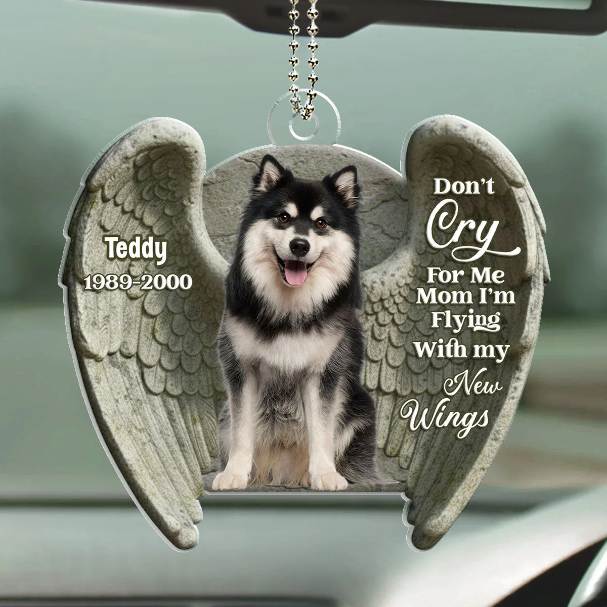 Do Not Cry For Me - Personalized Custom Car Ornament