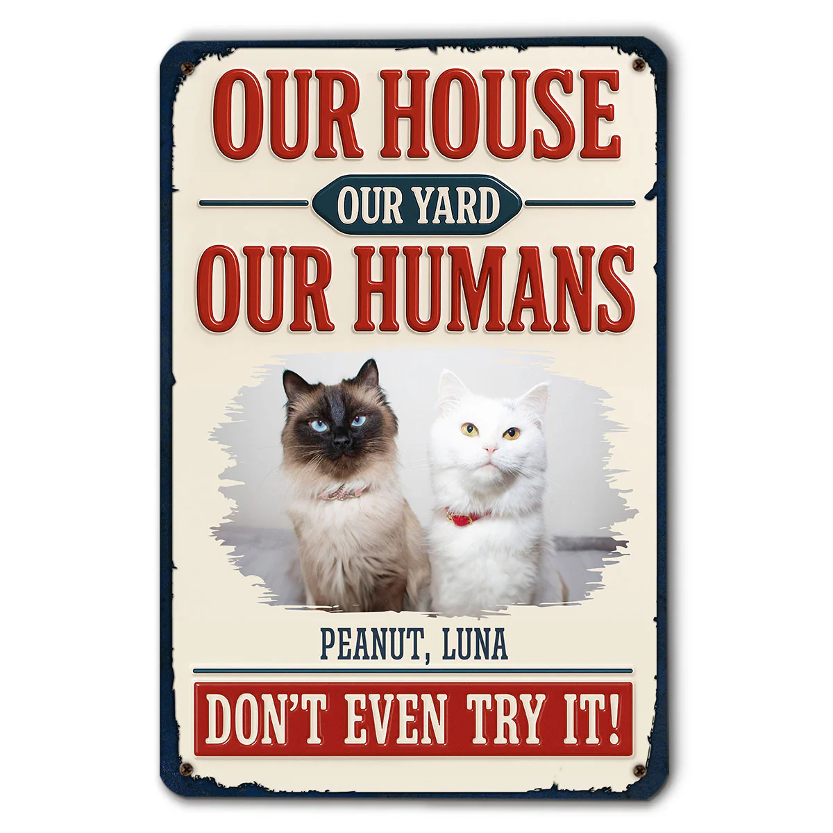 Do Not Try It Human Ver Cat Photo - Personalized Custom 3D Inflated Effect Metal Sign