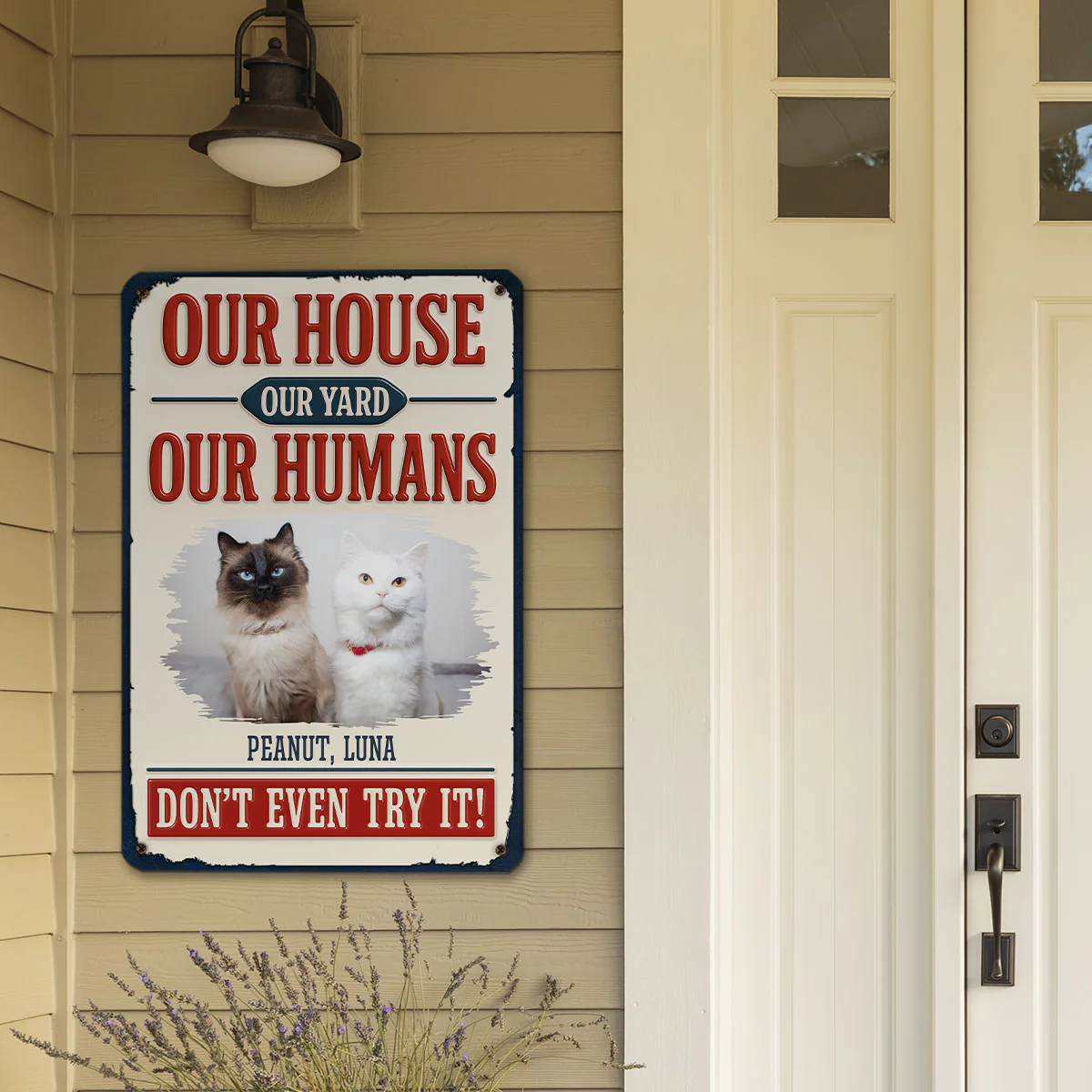 Do Not Try It Human Ver Cat Photo - Personalized Custom 3D Inflated Effect Metal Sign - Image 2