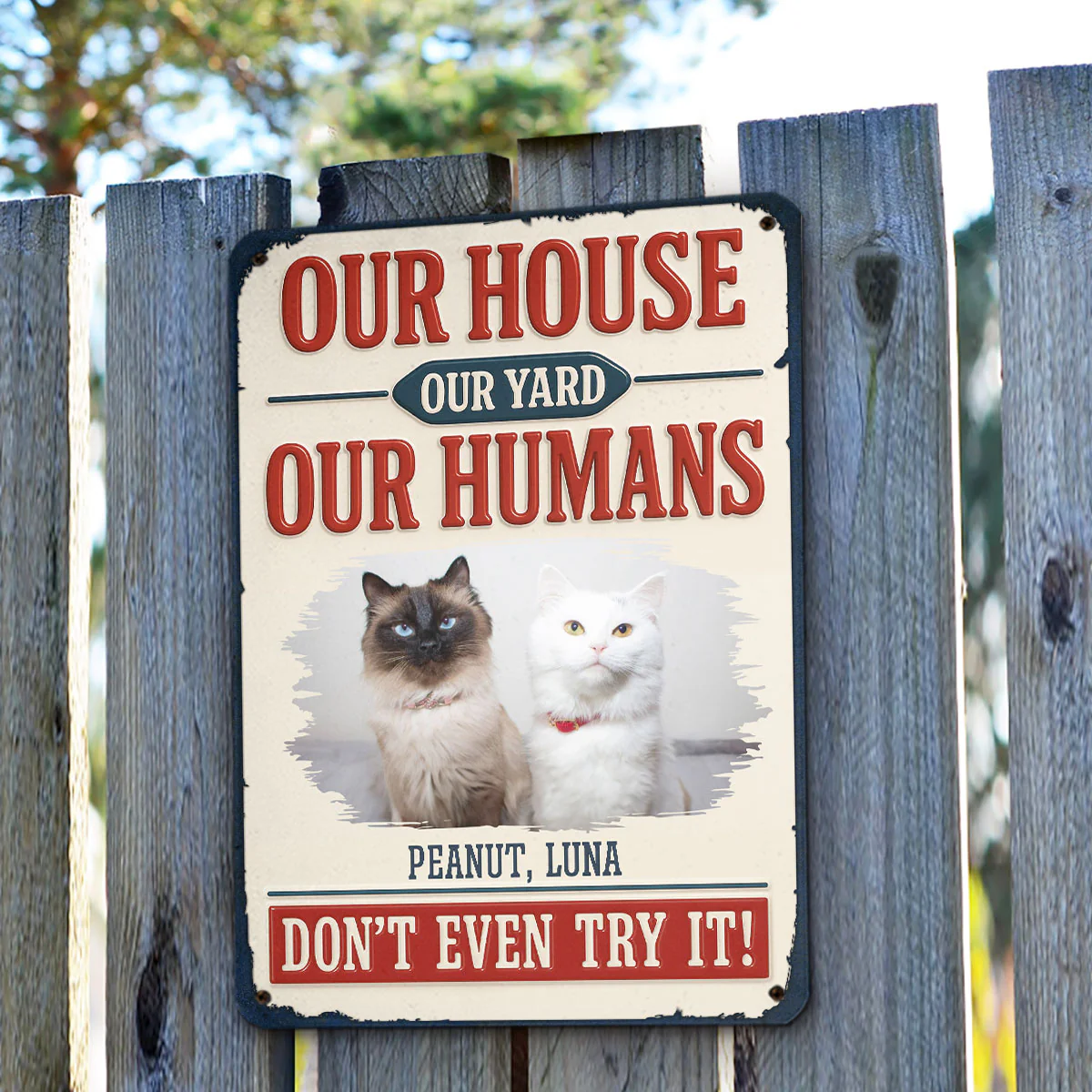 Do Not Try It Human Ver Cat Photo - Personalized Custom 3D Inflated Effect Metal Sign - Image 3