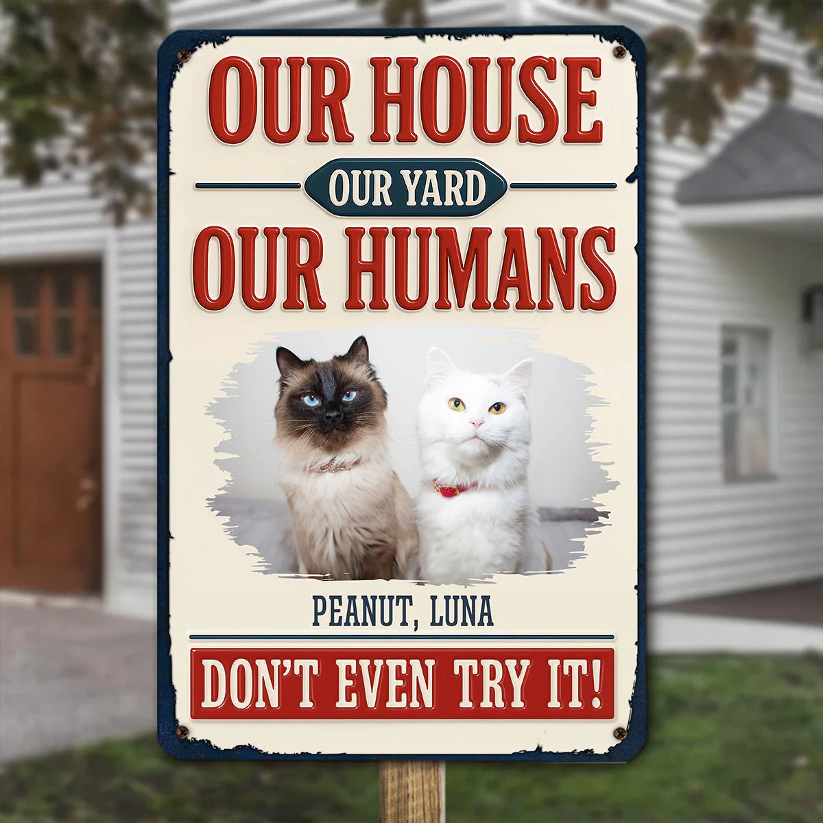 Do Not Try It Human Ver Cat Photo - Personalized Custom 3D Inflated Effect Metal Sign - Image 4