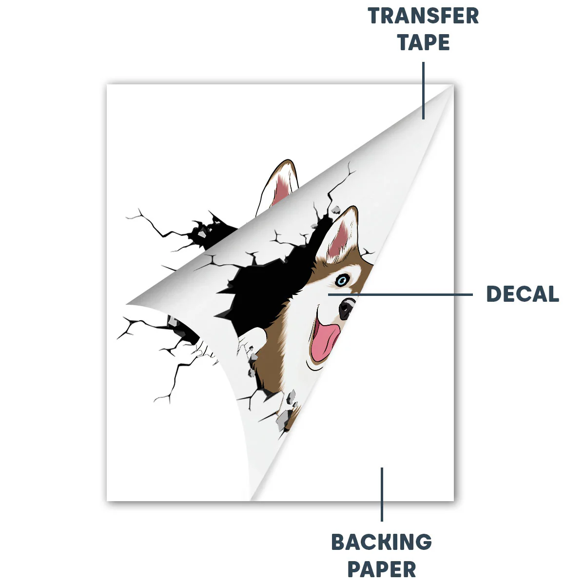 Dog In My Car Photo - Personalized Custom Decal - Image 4