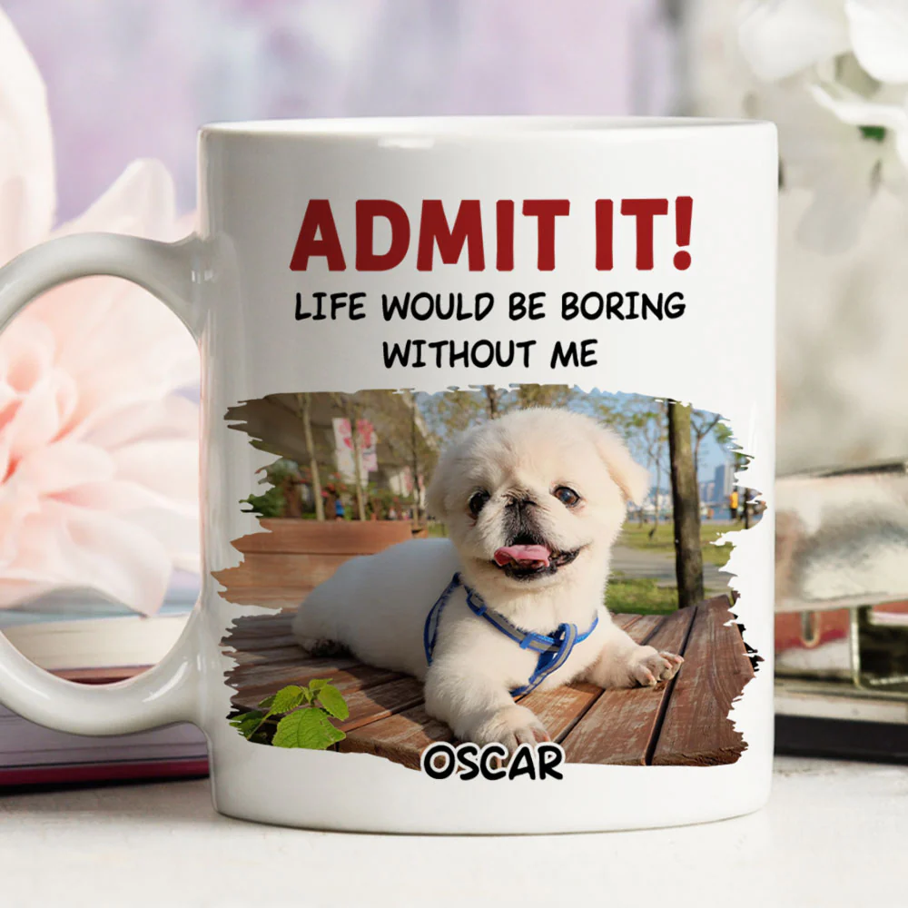 Just Admit It Photo - Personalized Custom Coffee Mug
