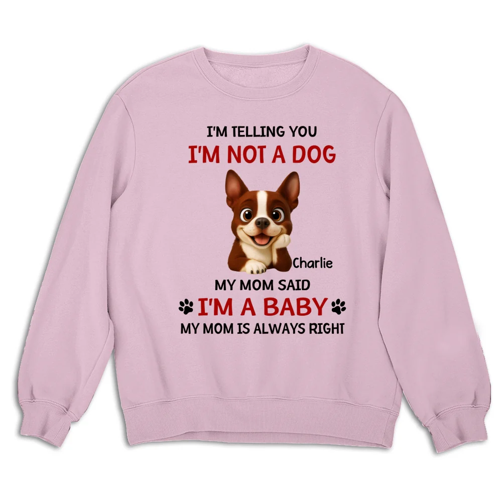 Litterally A Baby - Personalized Custom Sweatshirt - Image 6