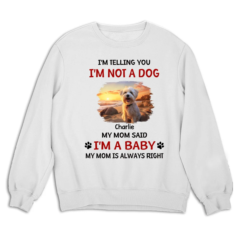 Litterally A Baby Photo - Personalized Custom Sweatshirt - Image 4