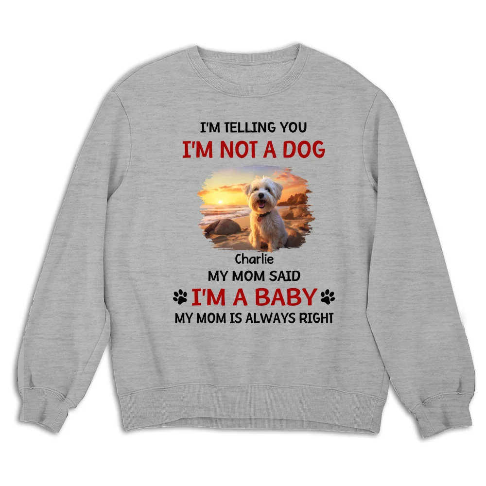 Litterally A Baby Photo - Personalized Custom Sweatshirt - Image 5
