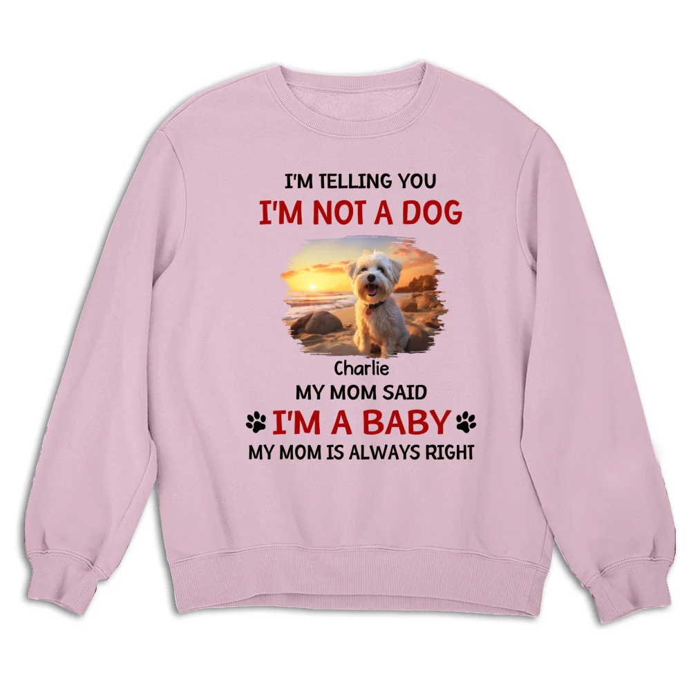 Litterally A Baby Photo - Personalized Custom Sweatshirt - Image 6