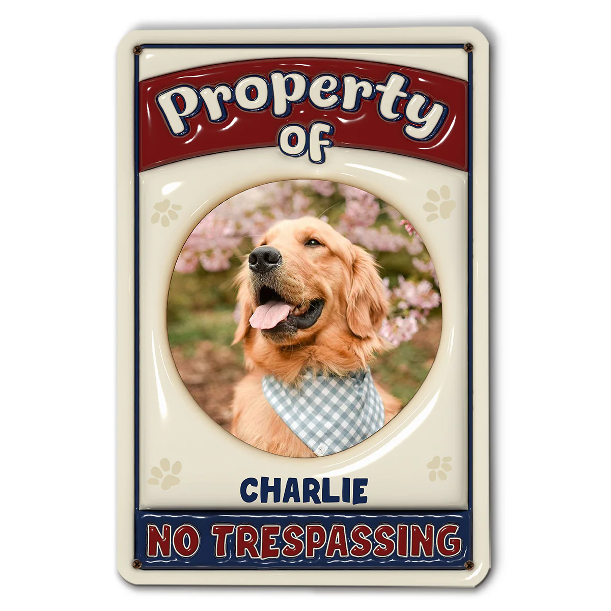 No Trespassing Version Photo - Personalized Custom 3D Inflated Effect Metal Sign