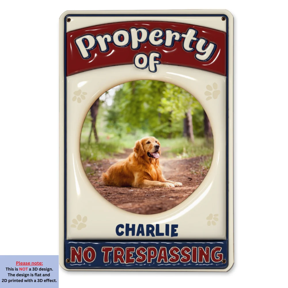 No Trespassing Version Photo - Personalized Custom 3D Inflated Effect Metal Sign - Image 5
