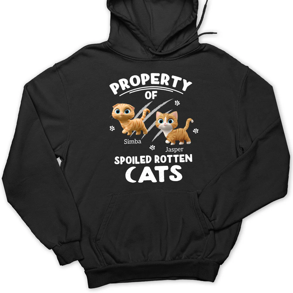 Our Official Property - Personalized Custom Hoodie