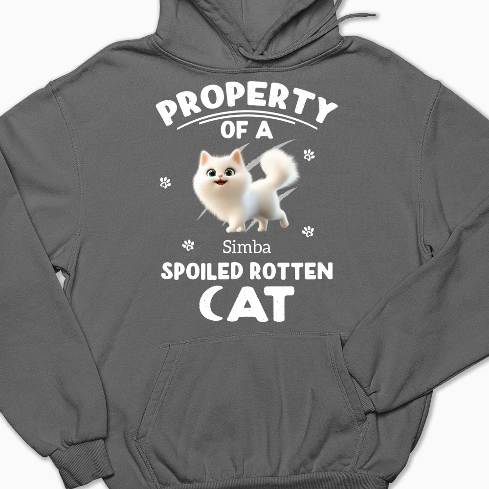 Our Official Property - Personalized Custom Hoodie - Image 10