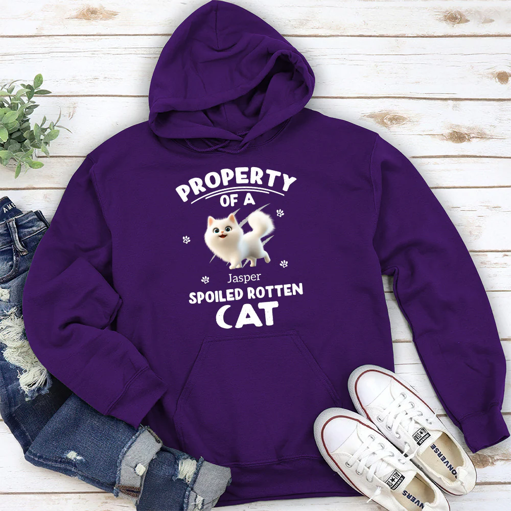 Our Official Property - Personalized Custom Hoodie - Image 3