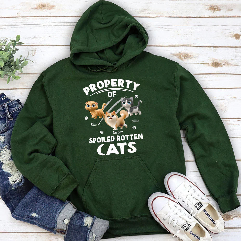 Our Official Property - Personalized Custom Hoodie - Image 4