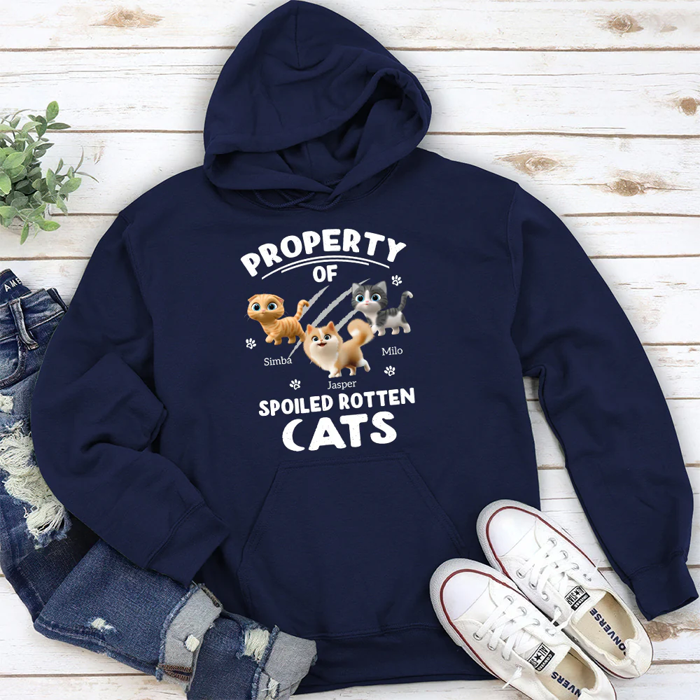 Our Official Property - Personalized Custom Hoodie - Image 5