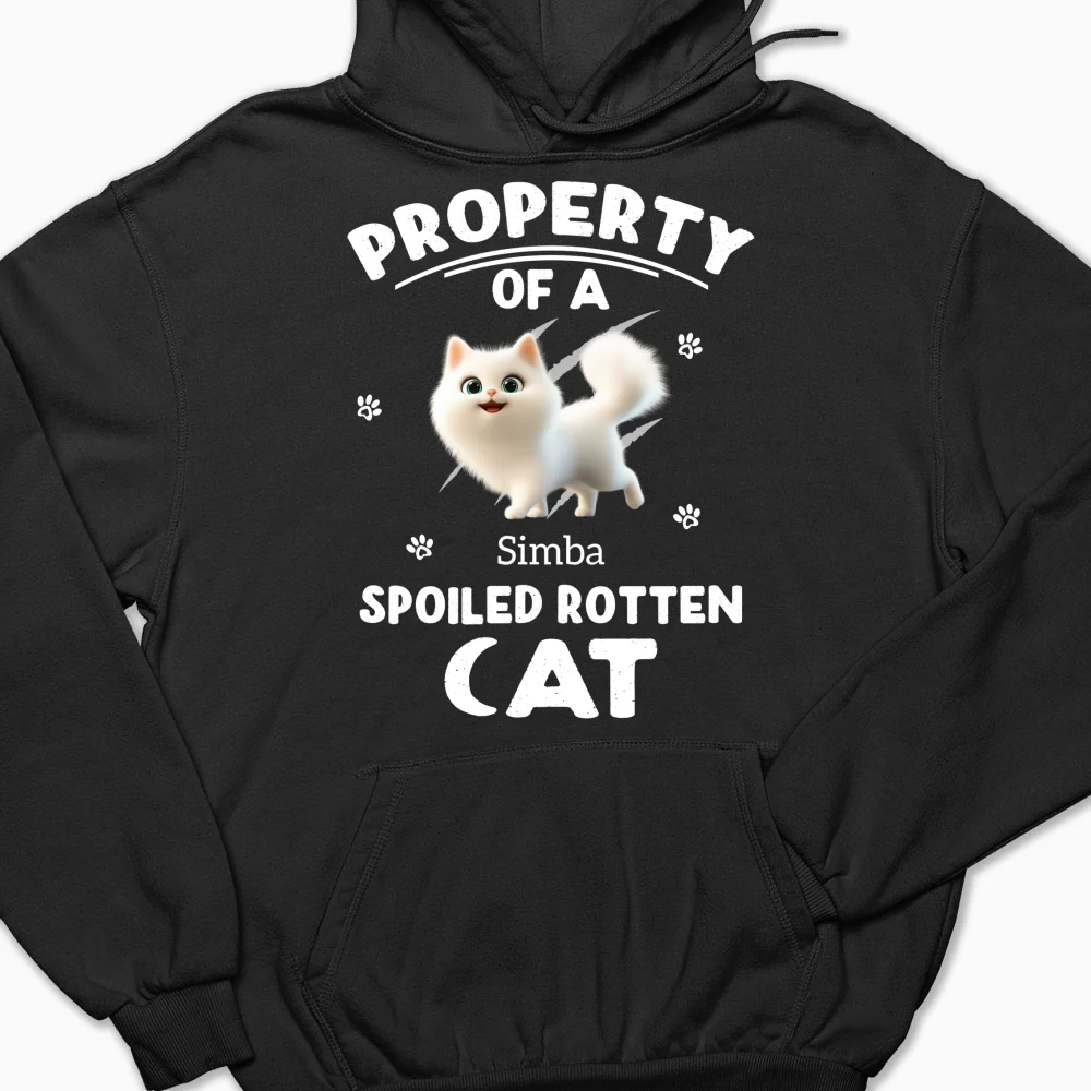 Our Official Property - Personalized Custom Hoodie - Image 7