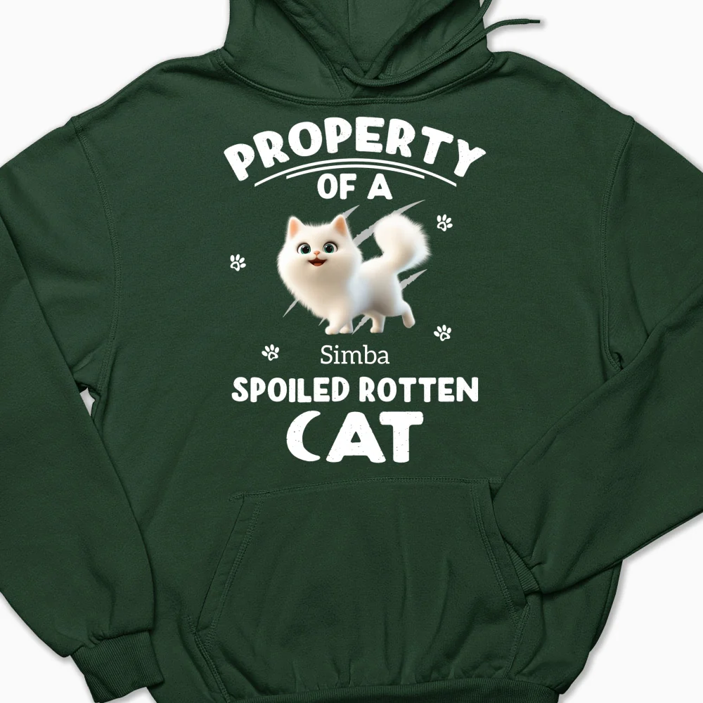 Our Official Property - Personalized Custom Hoodie - Image 8