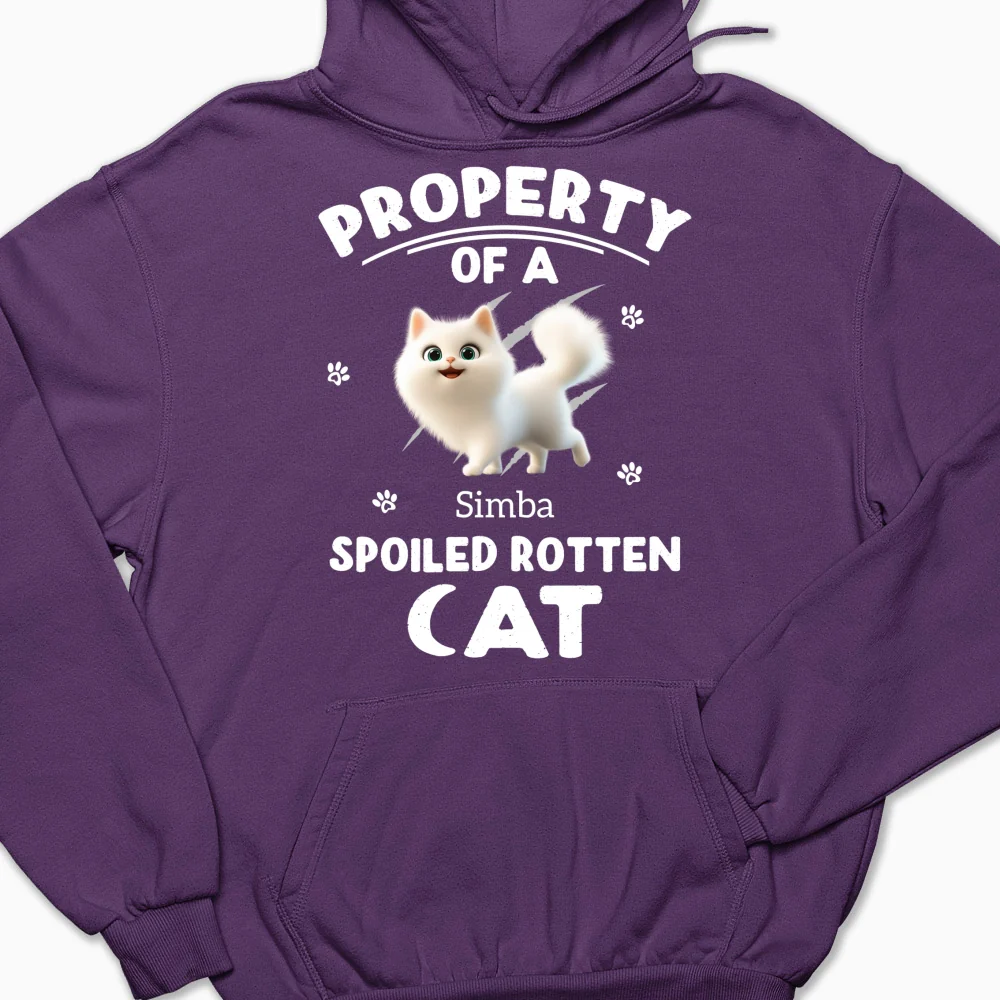 Our Official Property - Personalized Custom Hoodie - Image 9