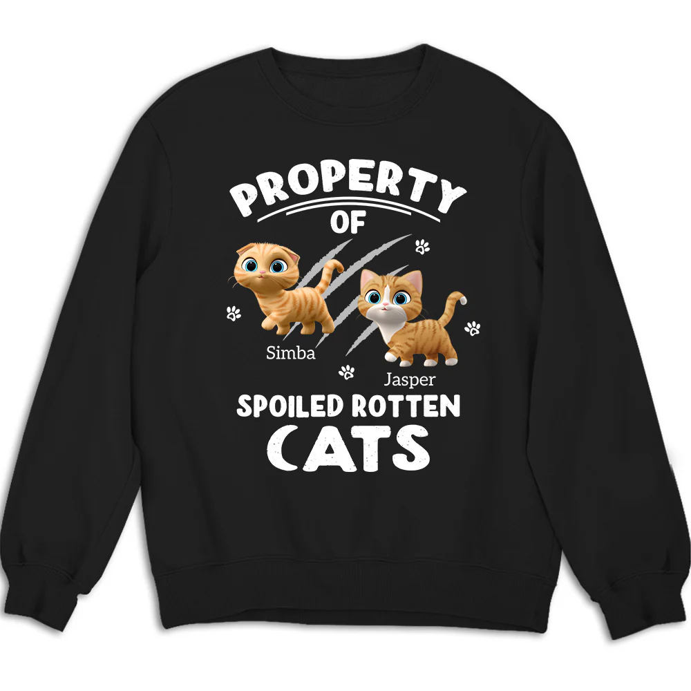 Our Official Property - Personalized Custom Sweatshirt