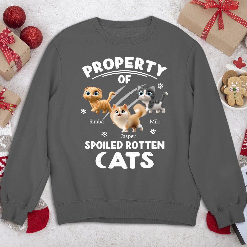 Our Official Property - Personalized Custom Sweatshirt - Image 3