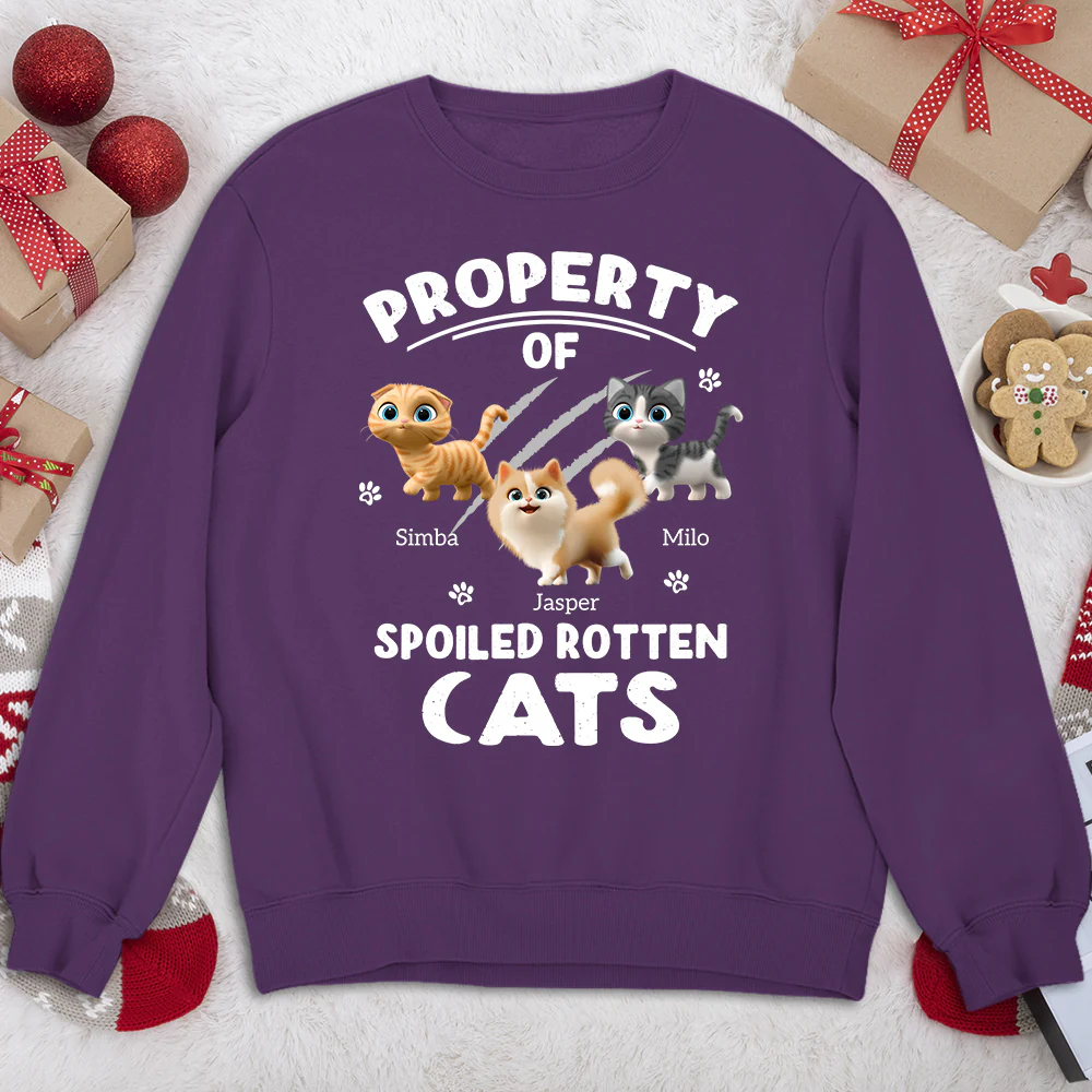 Our Official Property - Personalized Custom Sweatshirt - Image 4