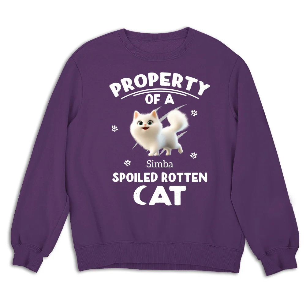 Our Official Property - Personalized Custom Sweatshirt - Image 8