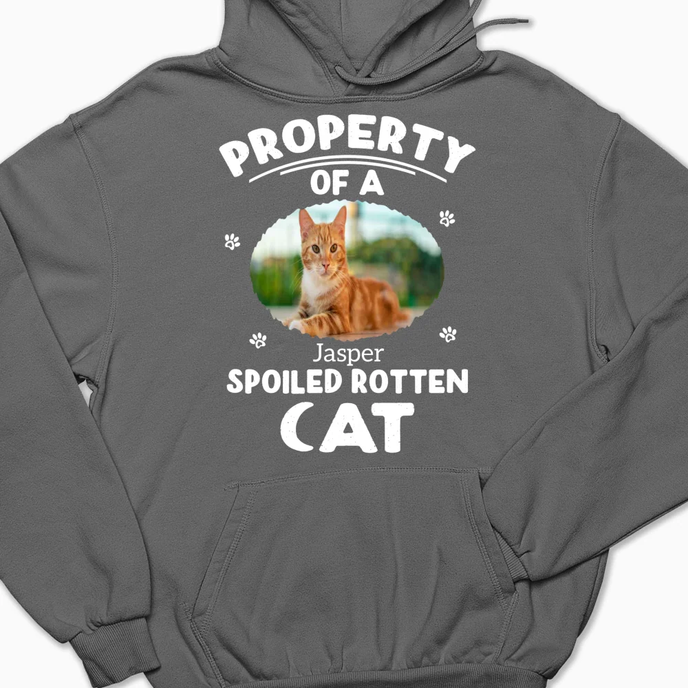 Our Official Property Photo - Personalized Custom Hoodie - Image 10