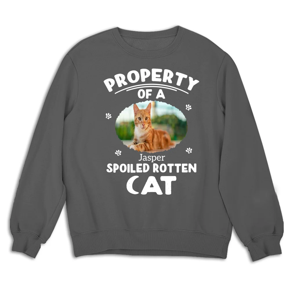Our Official Property Photo - Personalized Custom Sweatshirt - Image 7