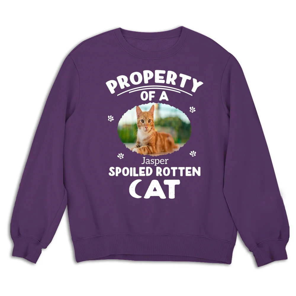 Our Official Property Photo - Personalized Custom Sweatshirt - Image 9
